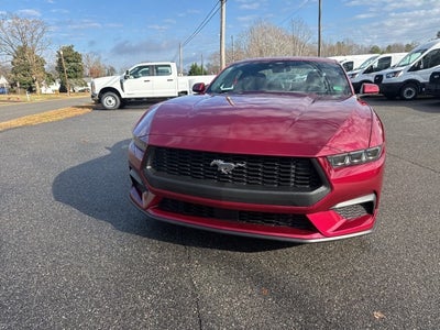 2026 Ford Mustang EcoBoost