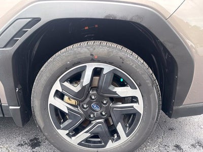2025 Subaru Forester Hybrid Limited
